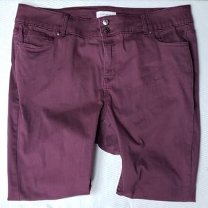 LANE BRYANT High Rise Skinny Jean's sz20